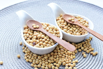 Raw soybeans (Glycine max) displayed in containers