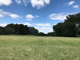 Campo verde bajo un cielo azul