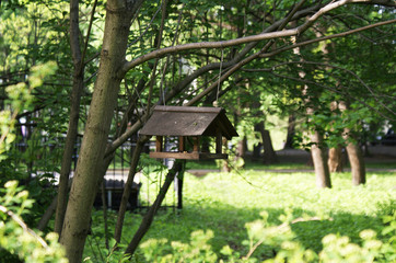 Bird house in a tree park.