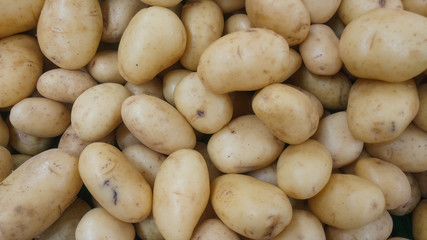 Pile of potatoes