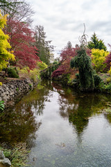 Beautiful ornamental garden landscaping with creek (portrait aspect)