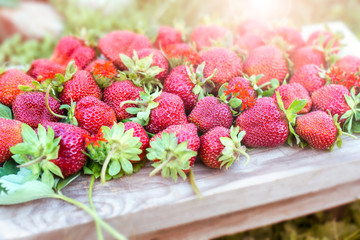 Beautiful delicious strawberry