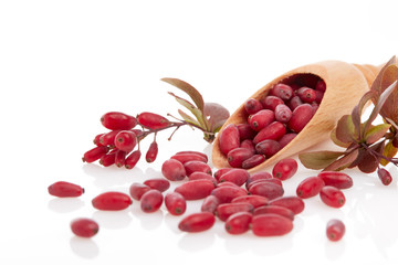 Ripe barberries