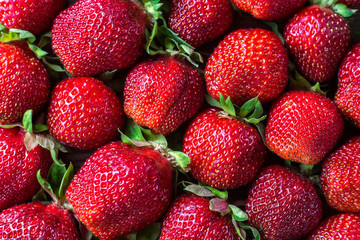 Beautiful fresh and juicy strawberry background. Real fruit close up. Ripe strawberry texture.