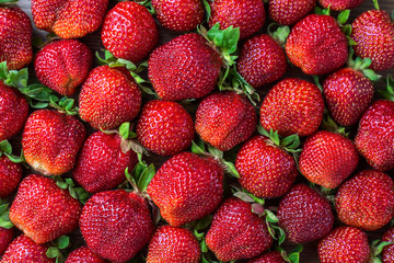 Beautiful fresh and juicy strawberry background. Real fruit close up. Ripe strawberry texture.