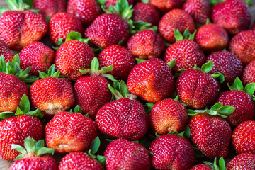 Beautiful fresh and juicy strawberry background. Real fruit close up. Ripe strawberry texture.
