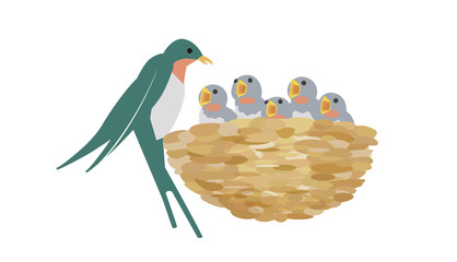 ツバメとヒナ © sozai-koyomi