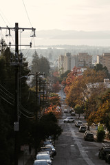 Streets of Berkeley