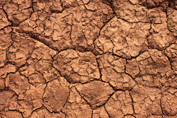 Texture on sun-cracked dirt floor