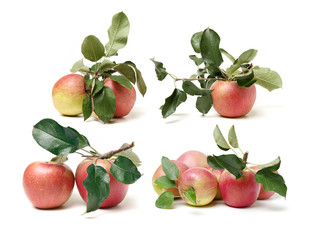 Red apples isolated on white background