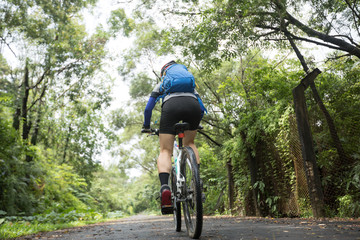 Naklejka premium Woman cyclist riding a bike on sunny park trail in summer