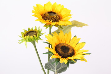Obraz premium Artificial sunflower isolated on white background