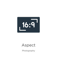 Aspect icon vector. Trendy flat aspect icon from photography collection isolated on white background. Vector illustration can be used for web and mobile graphic design, logo, eps10