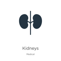Kidneys icon vector. Trendy flat kidneys icon from medical collection isolated on white background. Vector illustration can be used for web and mobile graphic design, logo, eps10
