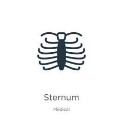 Sternum icon vector. Trendy flat sternum icon from medical collection isolated on white background. Vector illustration can be used for web and mobile graphic design, logo, eps10