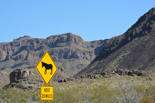 Wild Burros Sign in the Black Mountain Range, Sonoran Desert, Arizona USA