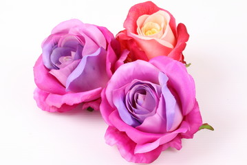 Artificial violet and red roses on white background
