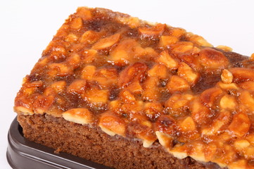 Brownie on white background