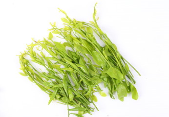 Young green vegetables isolated on white background
