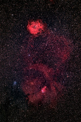 Wide-Field Of The Rosette Nebula NGC 2244 (also known as Caldwell 49) in the dark night sky