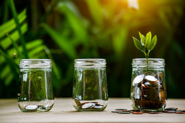 Coins in glass jar set on wooden plates, put in a green background with sun.