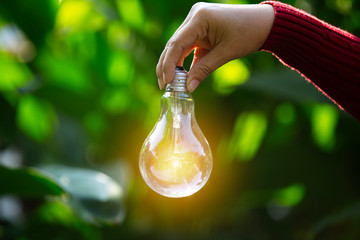 hand holding light bulb against nature, icons energy sources for renewable,