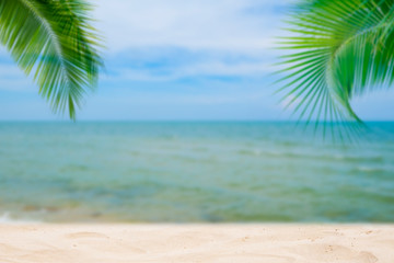 Coconut trees on the beach for summer vacation concept