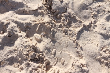 sand footprint