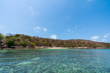 Obraz premium beautiful soft wave clear blue transparency sea ocean water and rocks at the bottom of the tropical paradise beach coast summer sea view at PP Island, Krabi, Phuket, Thailand.