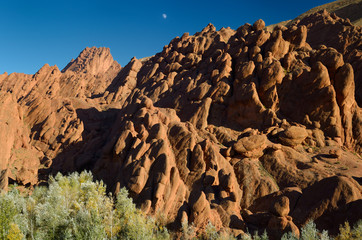 Evening light on limestone rock fingers and poplar trees with moon in Dades Gorge Morocco
