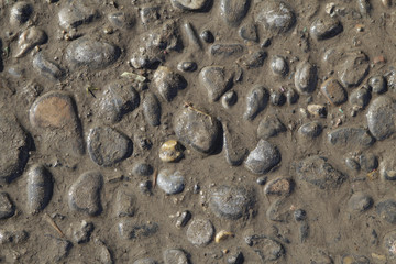 Wet pebble stones on the ground