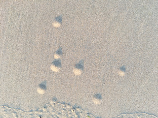 Circle and hole pattern in sand  beach texture, Crab nest, Abstract background concept