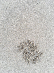 Crab nest, Circle and hole pattern in sand beach texture, Abstract background concept