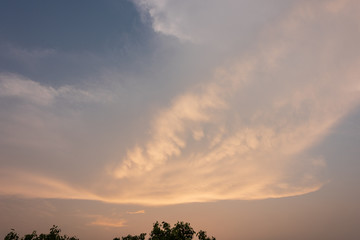 Fototapeta premium Composition of beautiful sky background, forest and sunset.