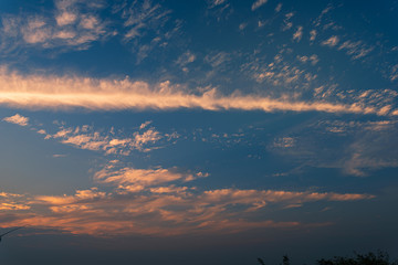 Composition of beautiful sky background, forest and sunset.