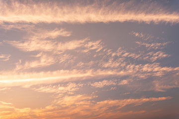 Composition of beautiful sky background, forest and sunset.