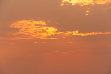 Composition of beautiful sky background, forest and sunset.