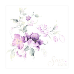 Watercolor floral tulip backgraund. Isolated spring illustration. Watercolour violet tulip plant. Purple blossom drawing.