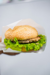  fast food for cafes and snacks with juicy ingredients