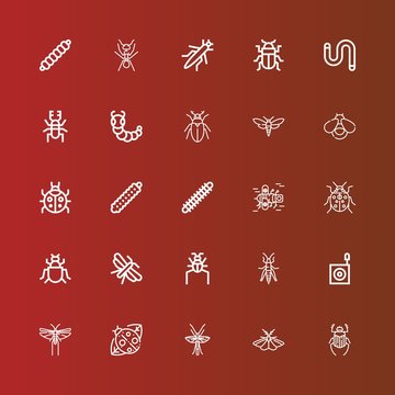 Editable 25 beetle icons for web and mobile