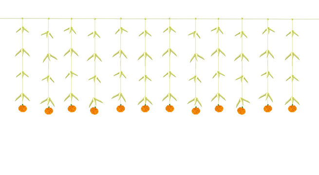  Coconut leaves decoration or Thoranam hanging on entrance of a house during happy occasions Thoranam are hanging decorations in Tamil traditions kerala traditions mango leaf and coconut leaf garland