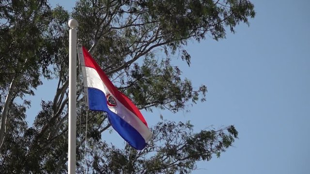 Paraguay flag waving in the wind.