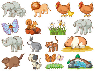 Obraz premium Large set of wildlife with many types of animals and insects