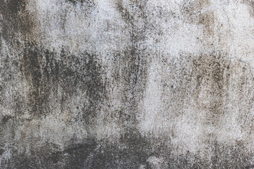 texture of old wall