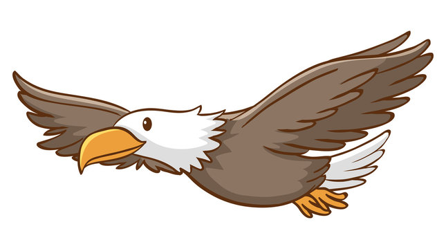 Cute eagle flying on white background