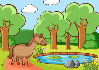 Scene with brown horse by the pond