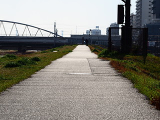 道