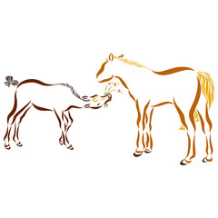 foal gives his mother a horse a bouquet of flowers, a pleasant treat