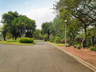 Nature trail Bright and quiet
