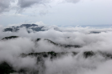 The view of the natural background of the mountain close-up, with blurred fog scattered in the rainy season or the humid climate, with beautiful green trees in the ecological system